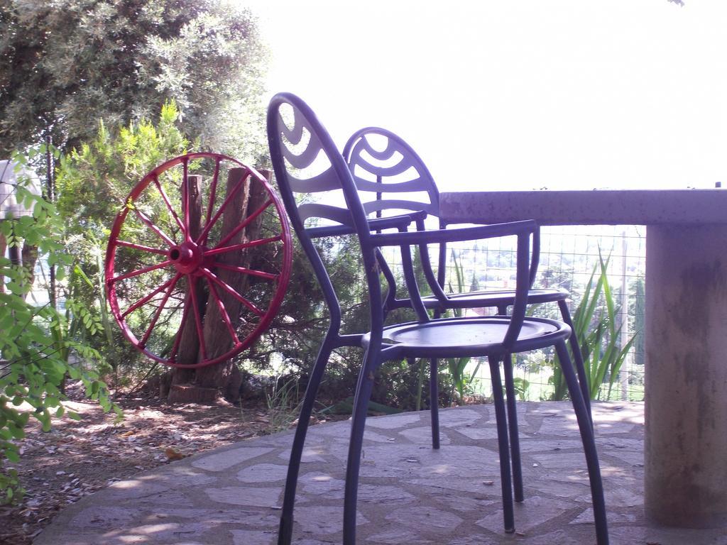 Agriturismo Il Pozzo Campagnatico Room photo
